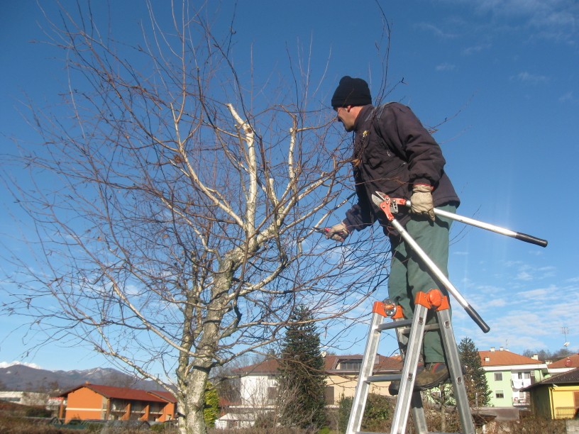 clicca per ingrandire e doppio click per chiudere